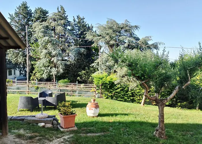 Le Vigne