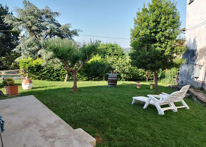 Le Vigne